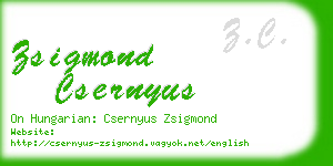 zsigmond csernyus business card